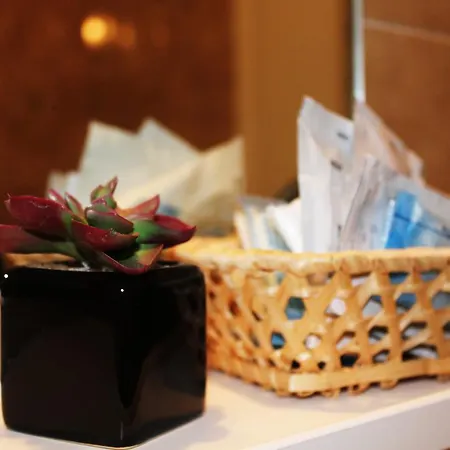 Lina 2* ピナレッラ